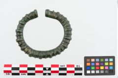 Foto von Bronzearmreif (NHMW-PRAE-024919)